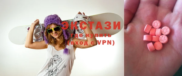 ECSTASY Гусь-Хрустальный