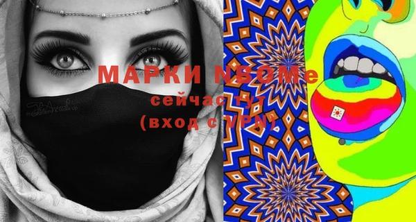 ECSTASY Гусь-Хрустальный