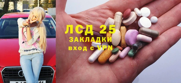 амф Горняк