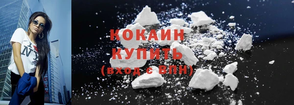 амф Горняк